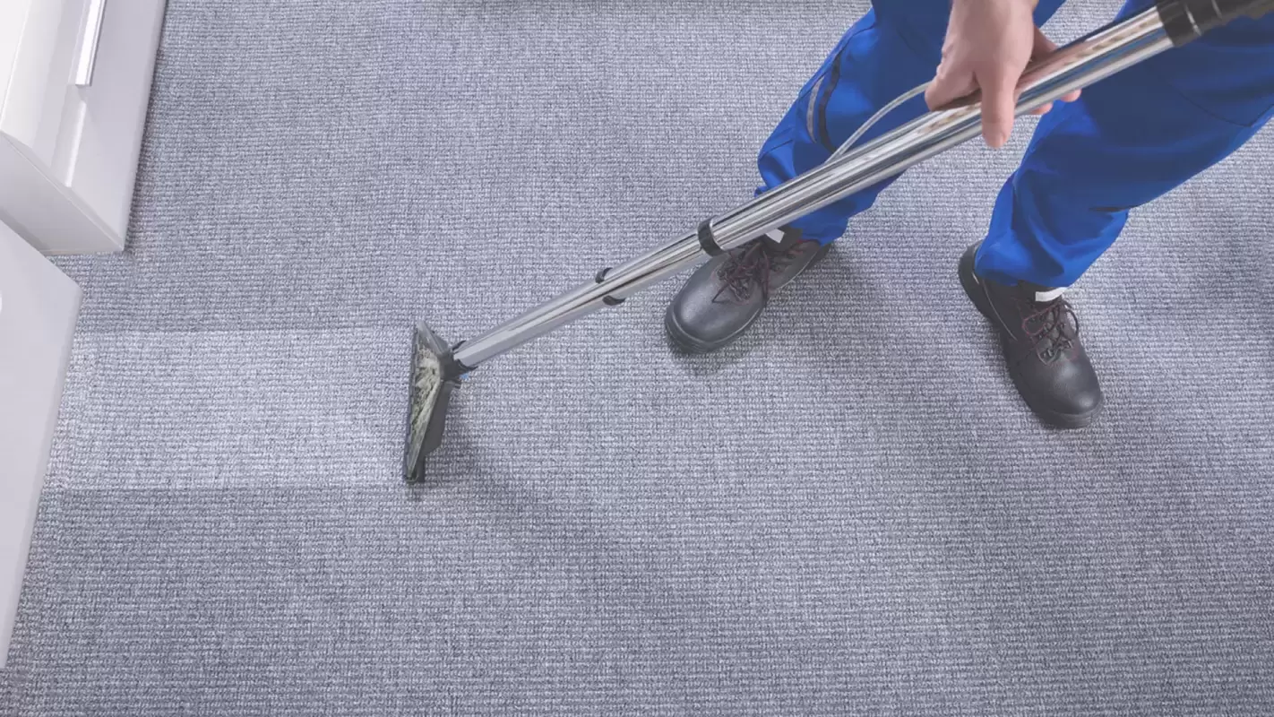 Our Carpet Cleaning Services Will Turn Your Carpets Into A Thing Of Beauty Ann Arbor, MI