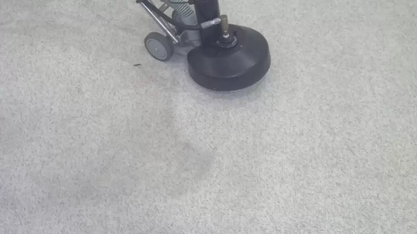 Let Us Restore Your Carpet with Our Affordable Carpet Cleaning Services! Powder Springs, GA!