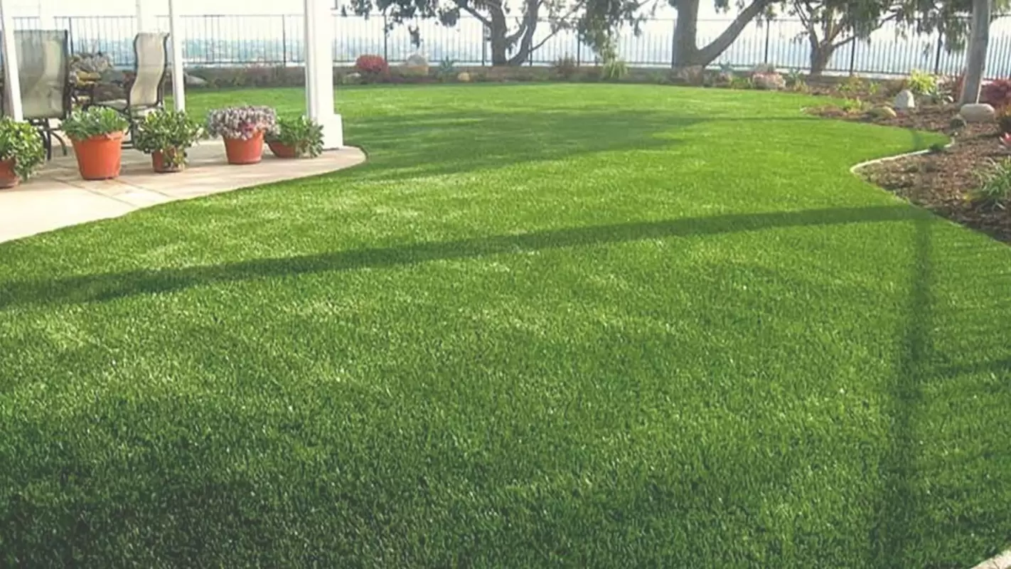 Get The Lawn of Your Dreams with Our Affordable Synthetic Grass! Savannah, GA