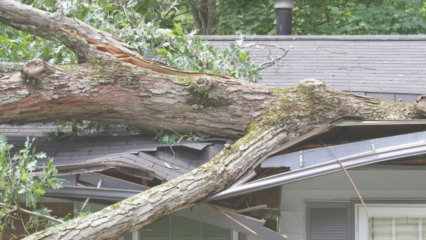 Roof Storm Damage Repair to Protect Your Property from Water Damage!