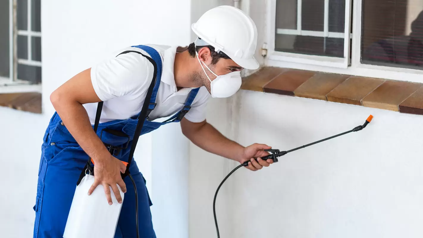 Pest Control Company - Let Us Handle the Termites