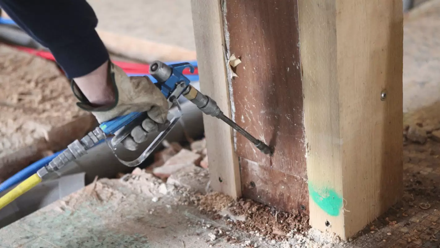 Keep Your Home Pest-Free with Our Professional Termite Control Services