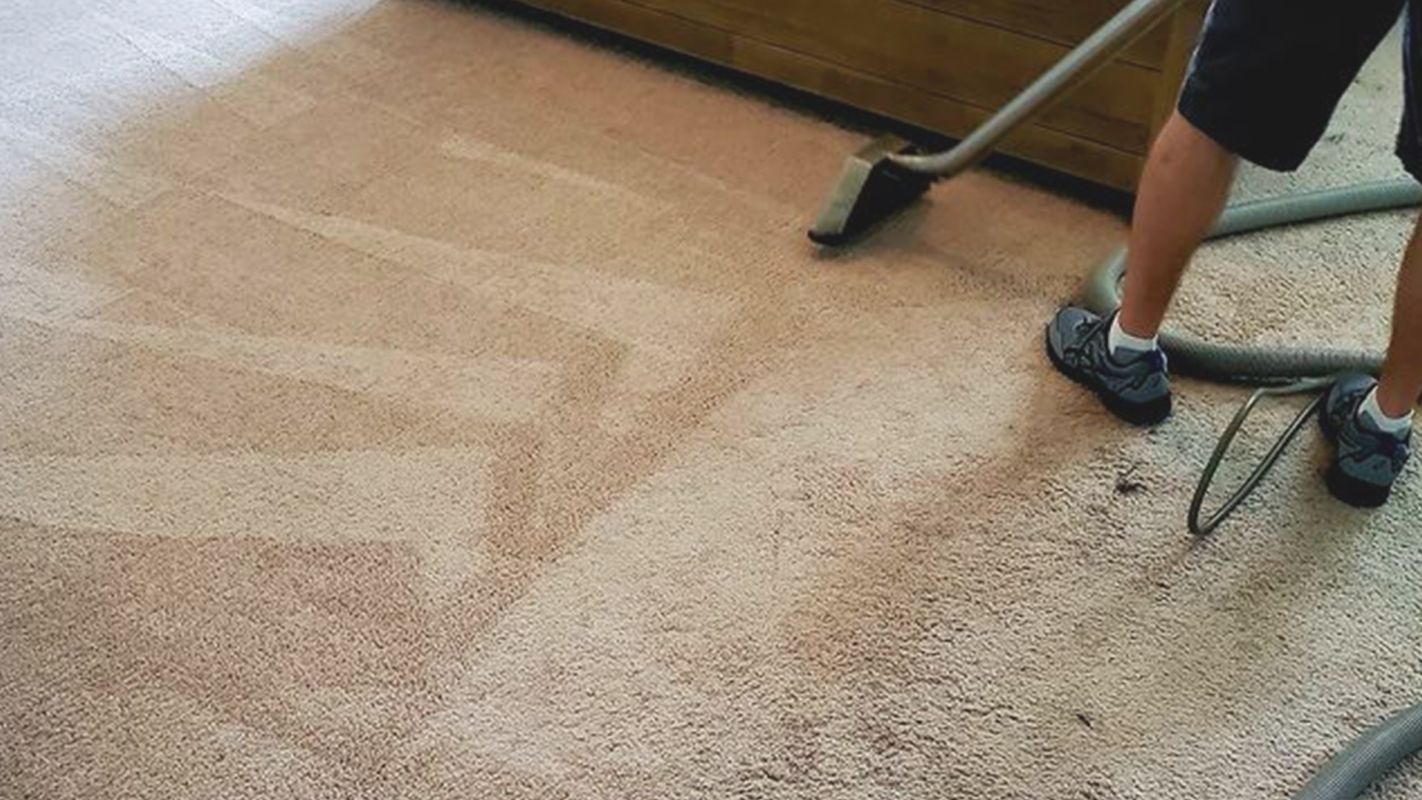 Residential Carpet Cleaning Made Easier in Sea Breeze, NC