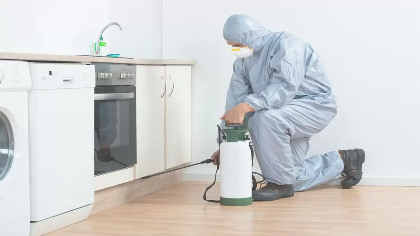 Count on Us for Low Pest Control Costs Arlington, TX