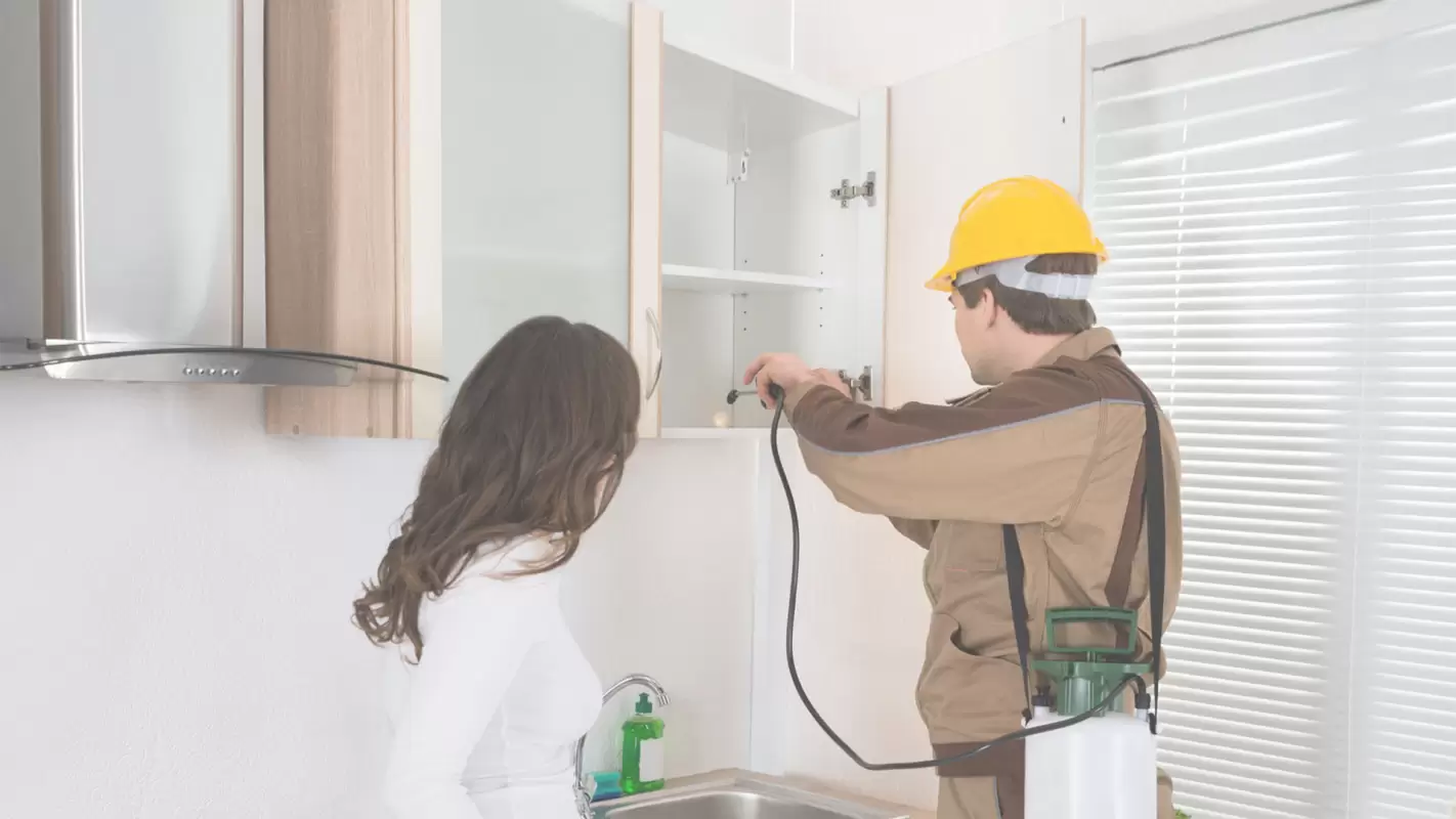 Get Residential Pest Control Services in a Snap Venus, TX