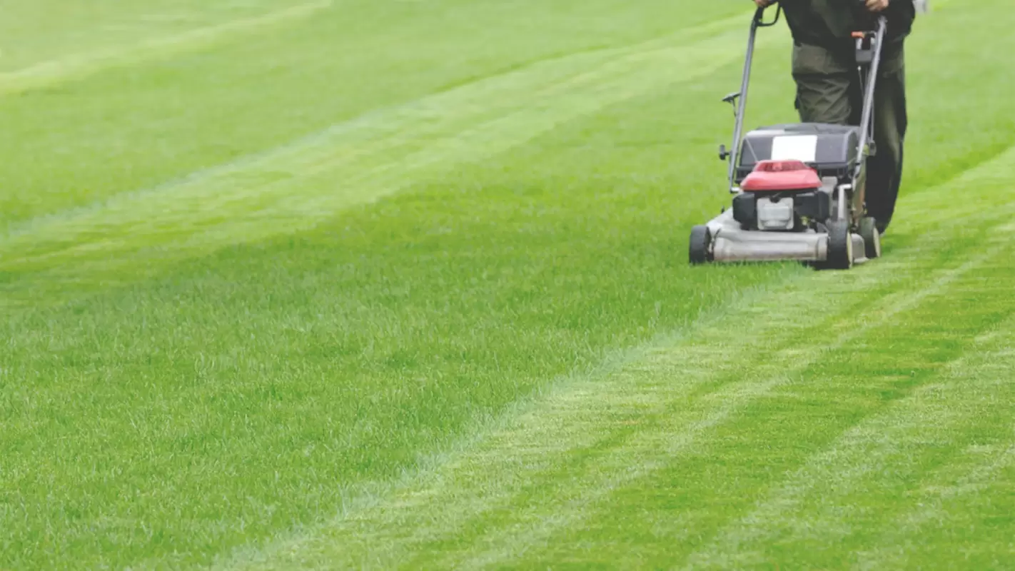 Lawn Maintenance to Keep Your Lawn in Pristine Condition Baltimore, MD