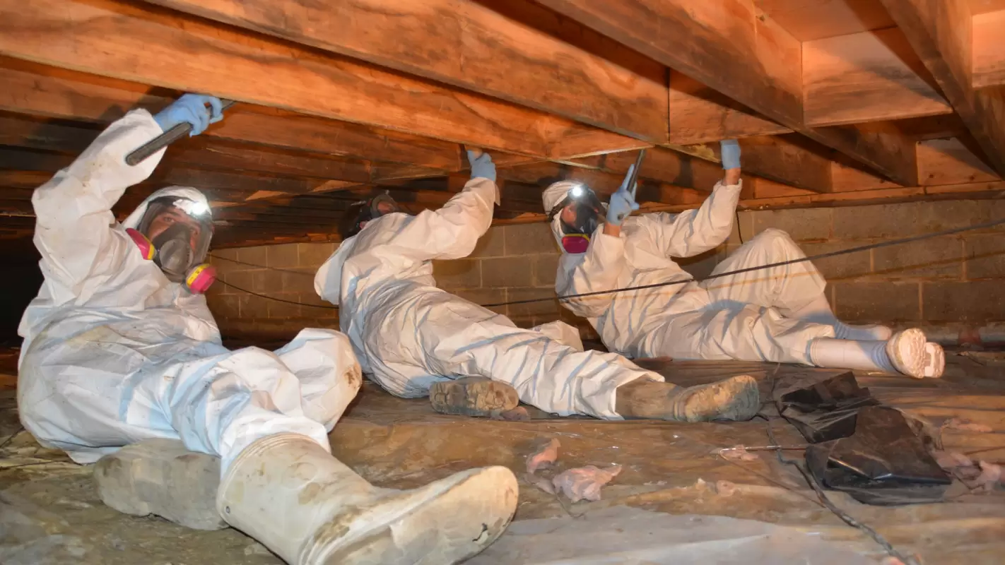 Hire Us for Reliable Crawl Space Solutions