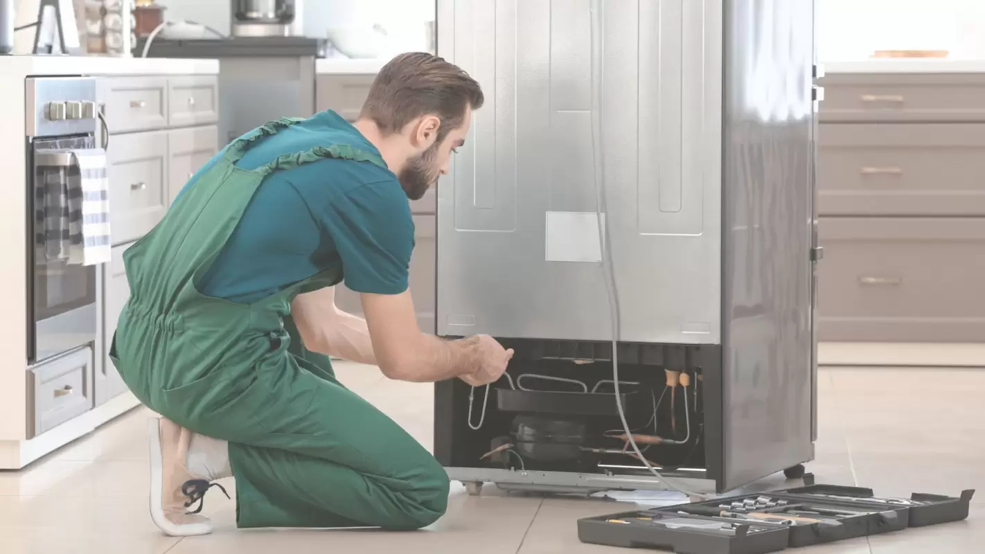 We Are the Pros in Residential Appliance Repair! Chestnut Hill, MA