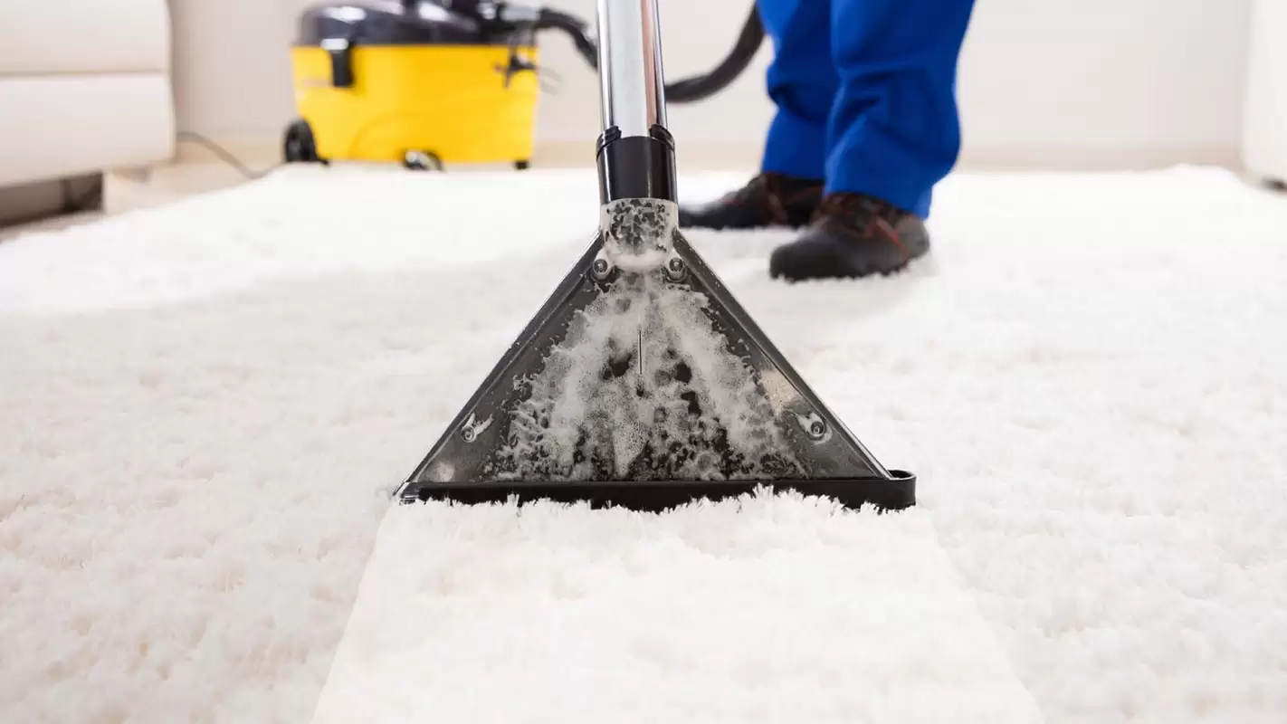 Get a Deep-Down Clean with the Best Carpet Steam Cleaner