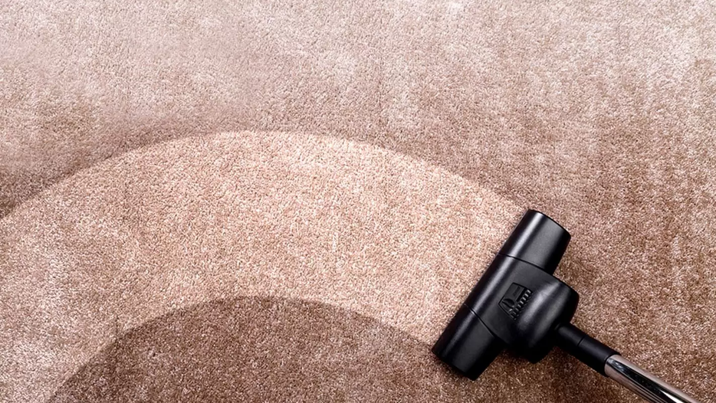Let Our Skilled Carpet Cleaners Give the Best Treatment to Your Carpets