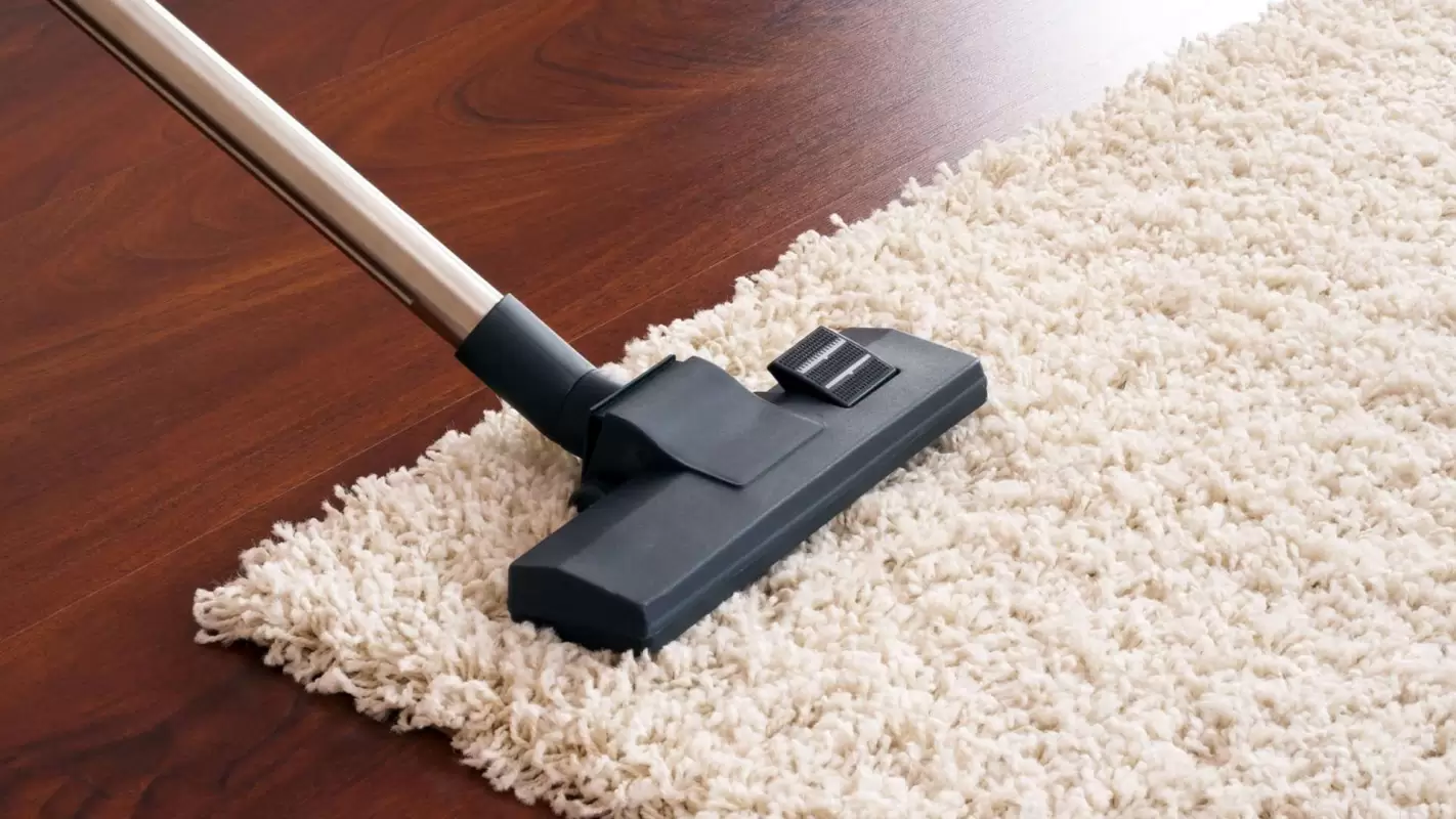 Hire Our Carpet Cleaning Services Today