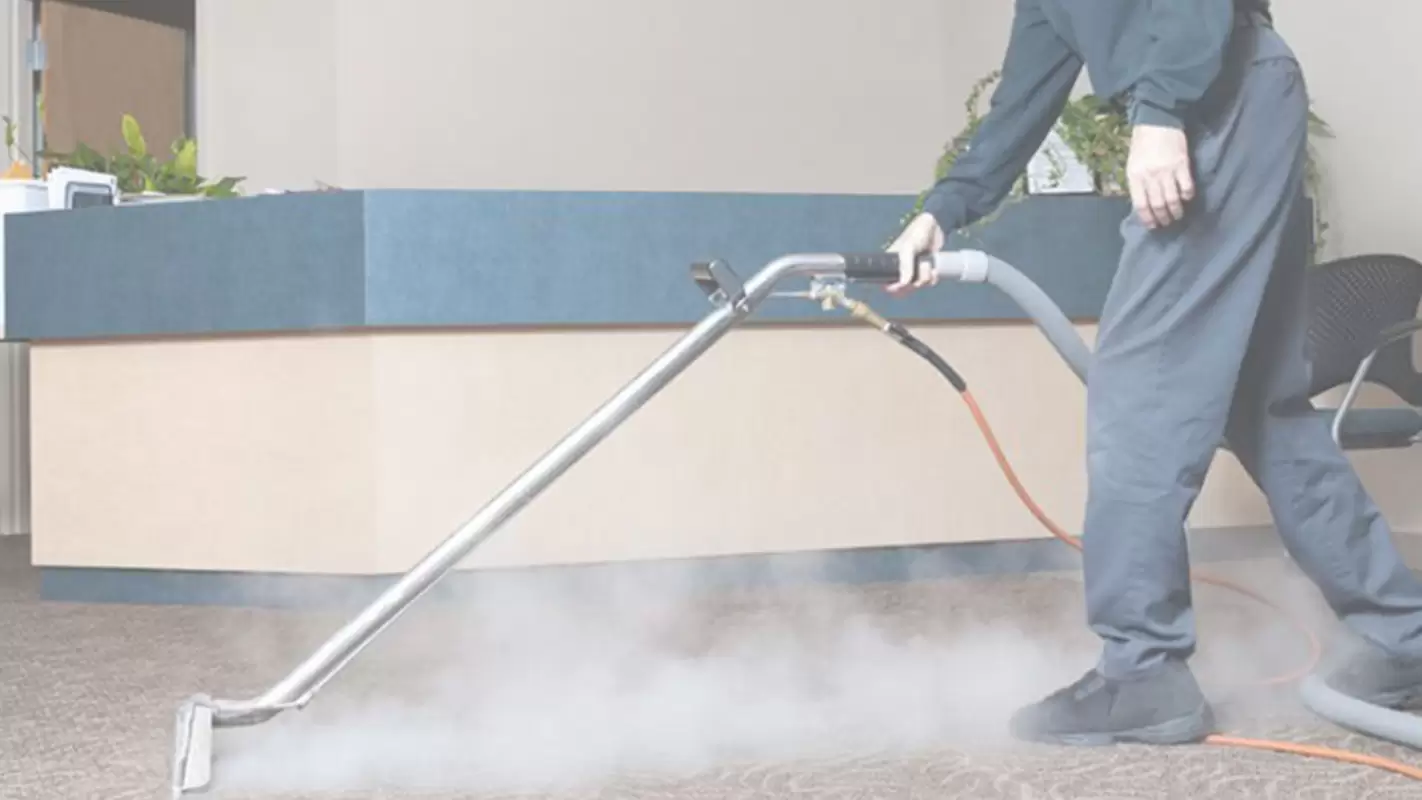 Hire Us for Affordable Steam Carpet Cleaning