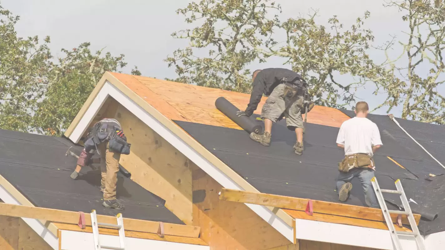 Get Our Services at the Best Roof Installation Cost