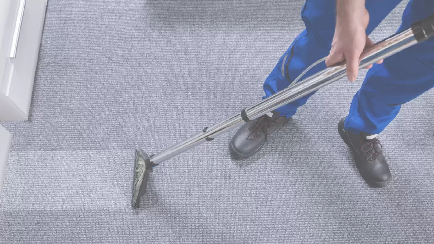 Carpet Cleaning So Masterful, You’ll Be Astonished
