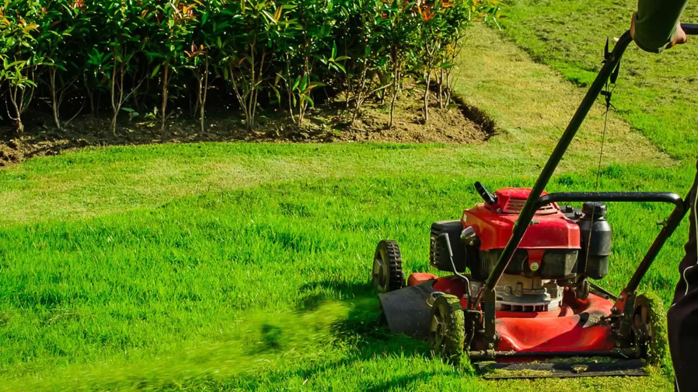 Landscape Maintenance Company to Maintain Your Lawn Expertly!