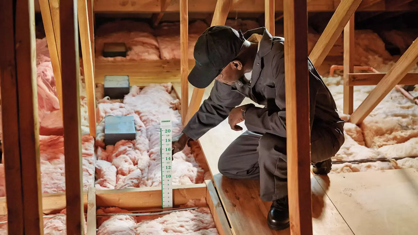 Decide on Our Insulation Company to Experience the Difference