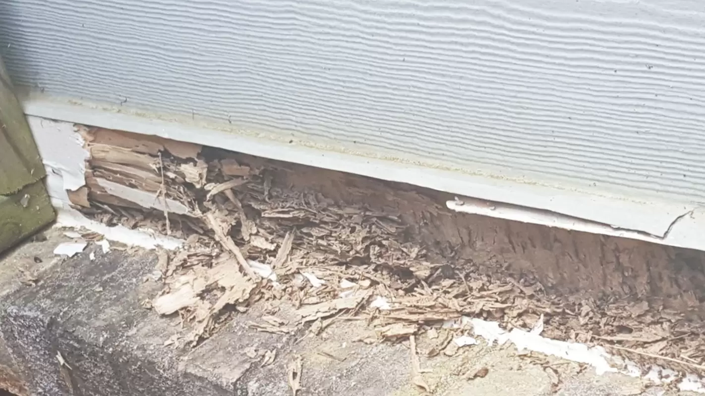 Termite Extermination Done in No time Decatur, GA
