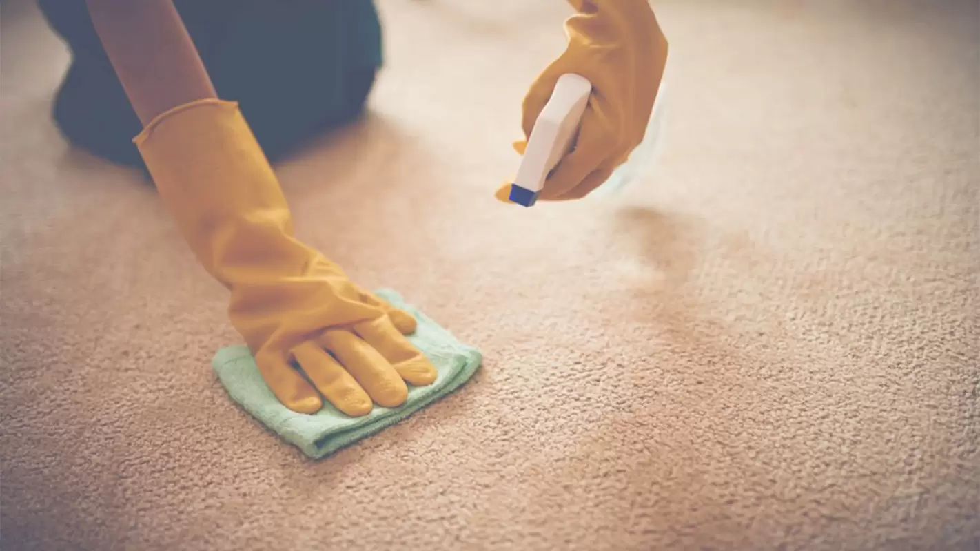 We Keep the Carpet Cleaning Costs Low McKinney, TX