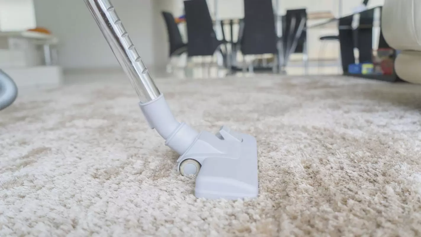 Thorough Carpet Cleaning from The Professional Carpet Cleaners Allen, TX