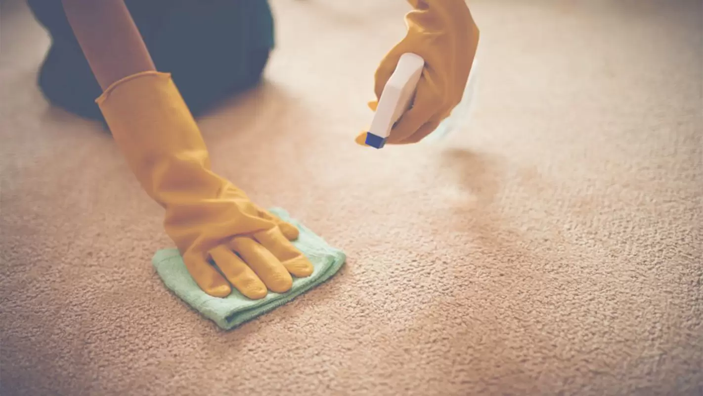 Carpet Cleaning Costs- Experience The Ultimate Clean Without The High Price Tag Plano, TX