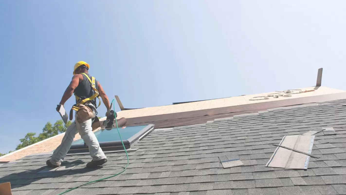 Quality Shingle Roof Replacement Services