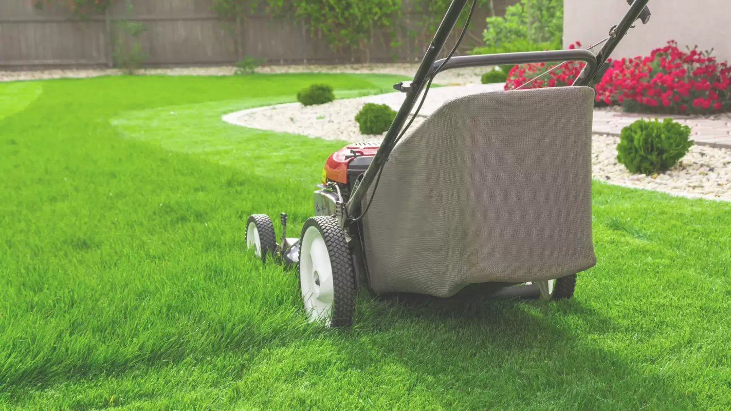 Lawn Care Company You Can Trust!