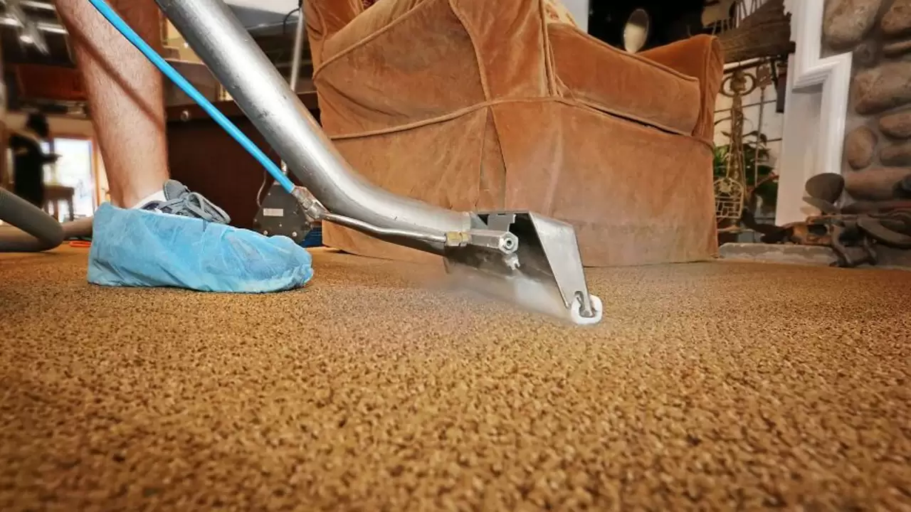 The Best Carpet Cleaning Company In Wellington, FL