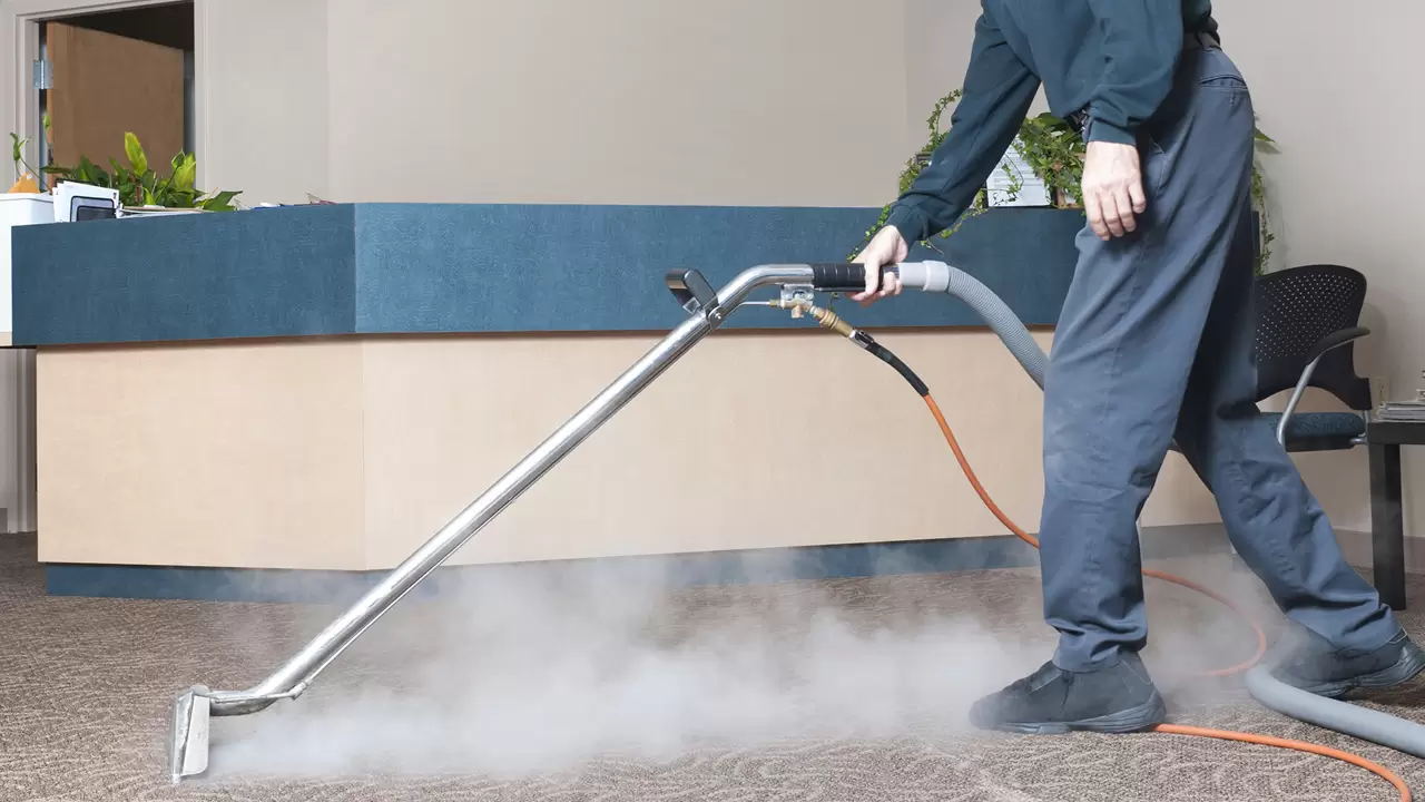 We Offer Premium Steam Carpet Cleaning Solutions In Wellington, FL