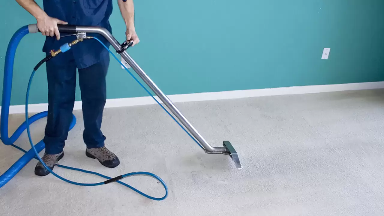 Urgent Carpet Cleaning Service In Wellington, FL