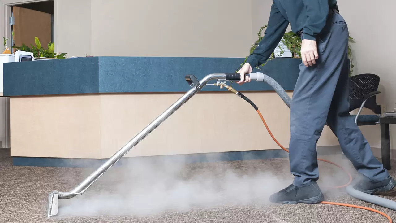 We Offer Premium Steam Carpet Cleaning Solutions In Loxahatchee, FL