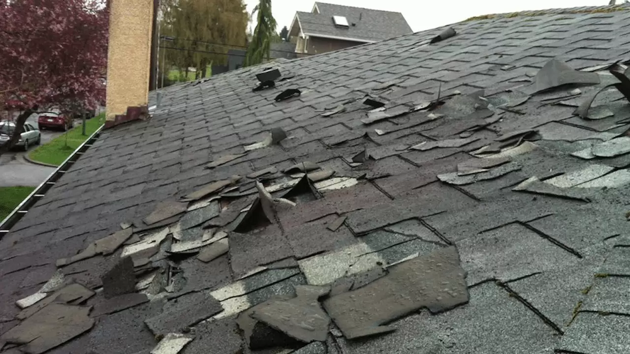 A comprehensive Emergency Roof Repair at your doorstep! in Naples, FL