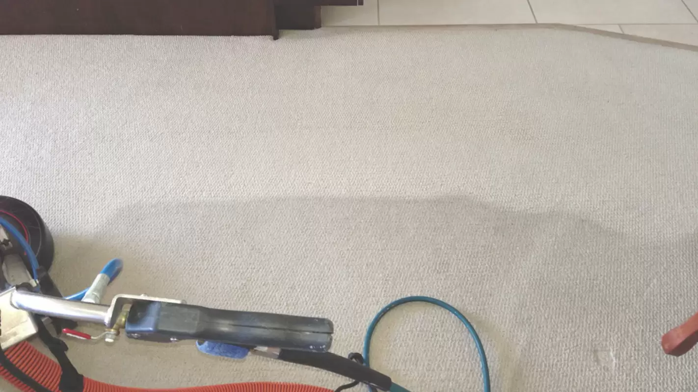 Looking for the Best Office & Commercial Carpet Cleaning Near Me? Hire Us Today!