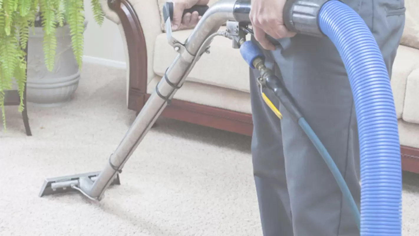 Experience Exceptional Carpet Cleaning in Orlando, FL!