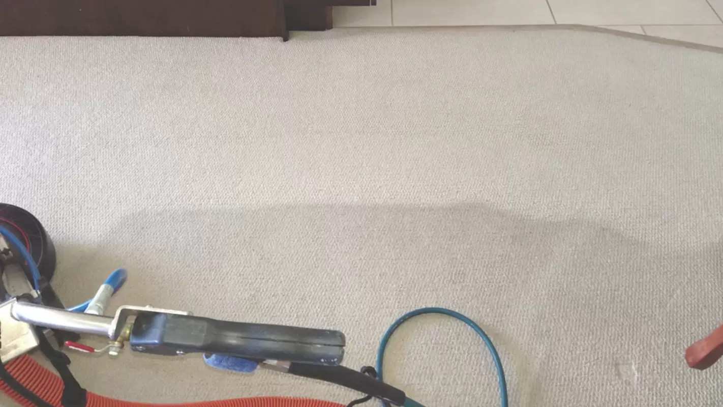 Office Carpet Cleaning Near Me? Hire The Best One in Kissimmee, FL!
