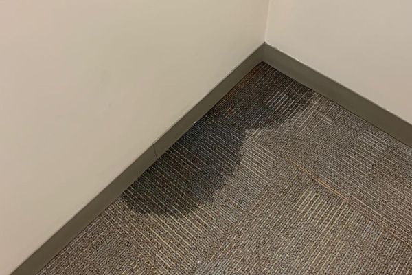 Basement Waterproofing Services – No More Soggy Socks!