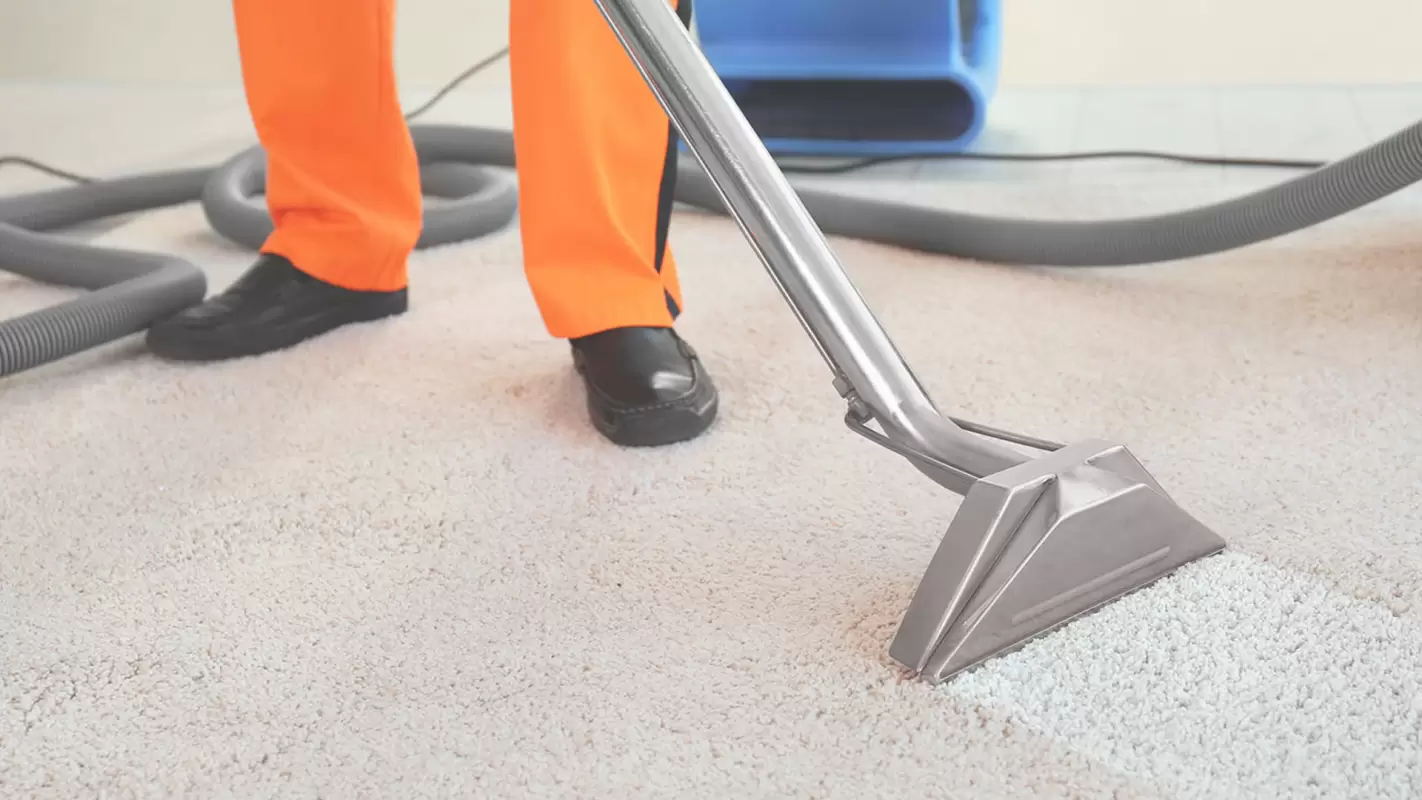 Employ Our Carpet Cleaning Services to Make Your Carpet Spotless! in Rancho Cordova, CA