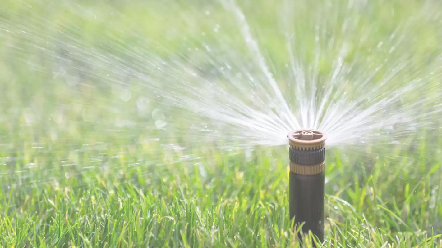 Keep Your Yard Green With Sprinkler Installation
