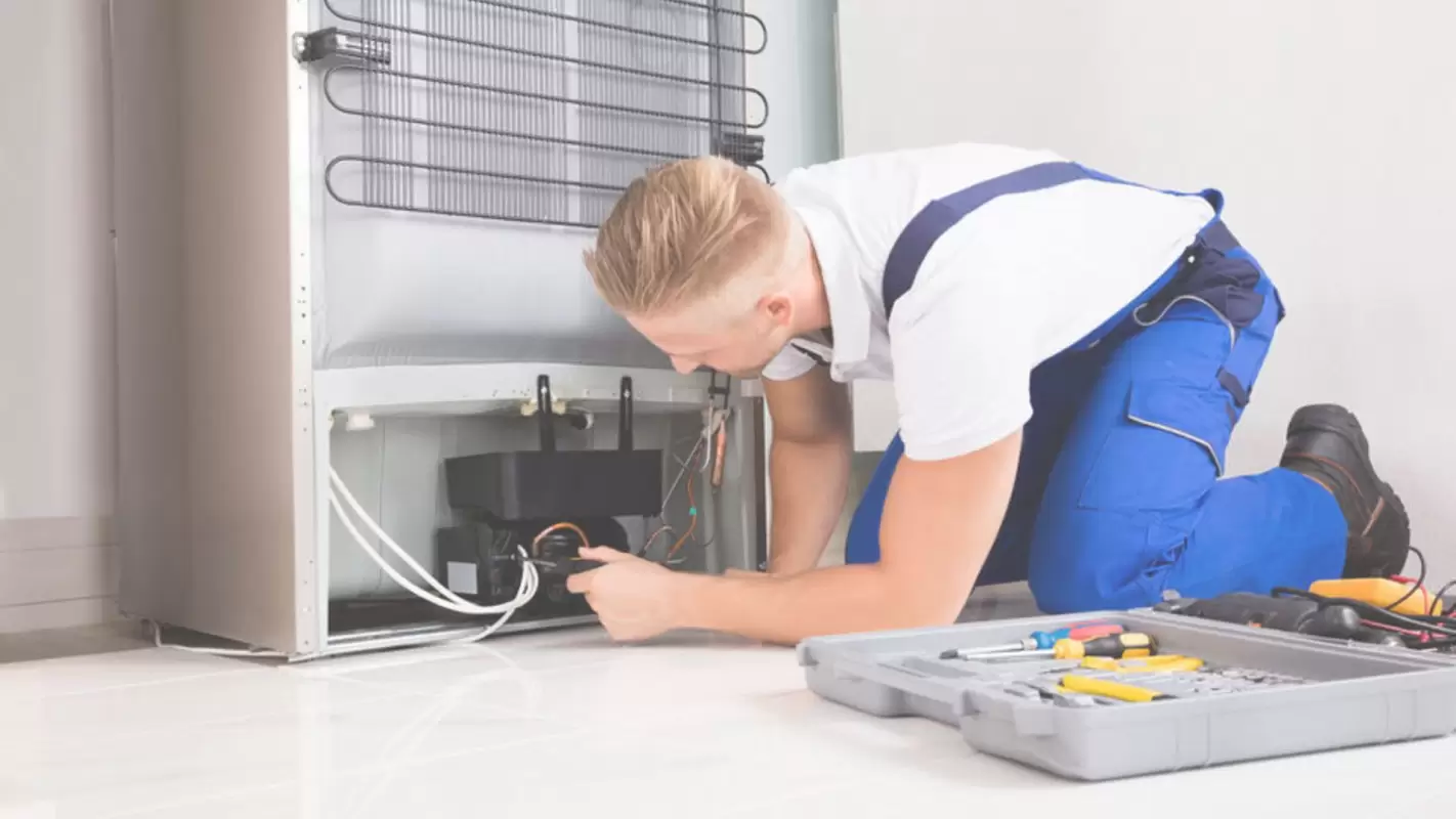We Are the Answer to Your Search for Appliance Repair Services Near Me!