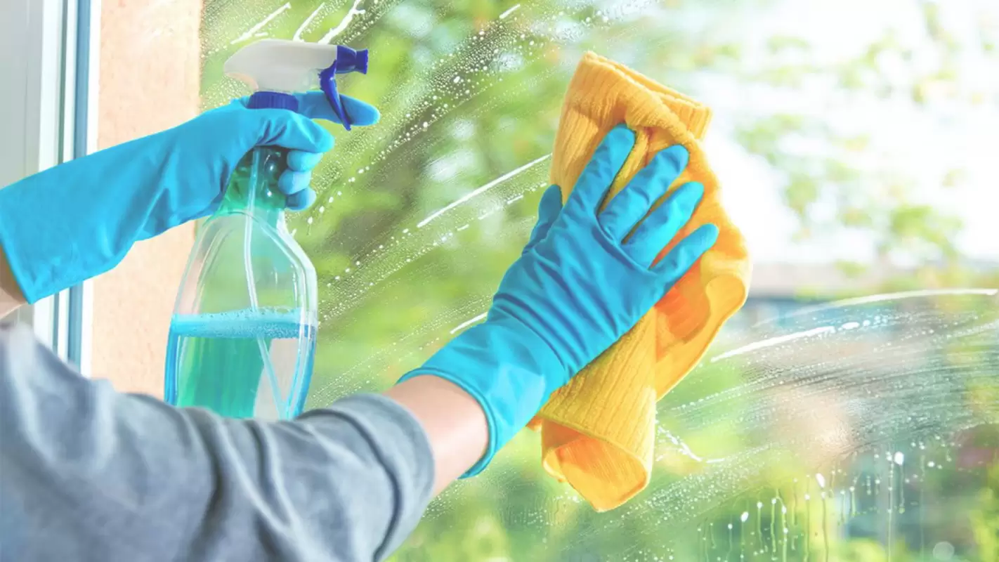 Professional Window Cleaning Services for a Clear View