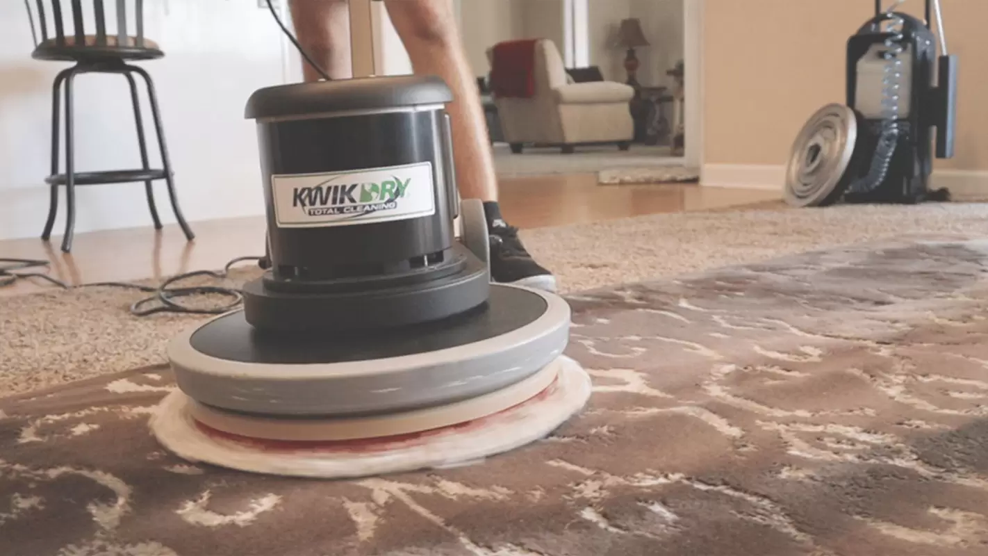 Quality Carpet Cleaning Companies Ensuring Optimal Results with Our Powerful Equipment