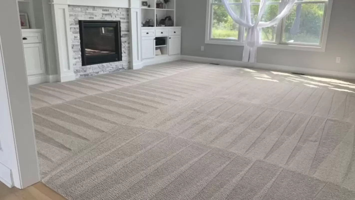 Carpet Cleaning: Tough on Dirt, Gentle on Carpet