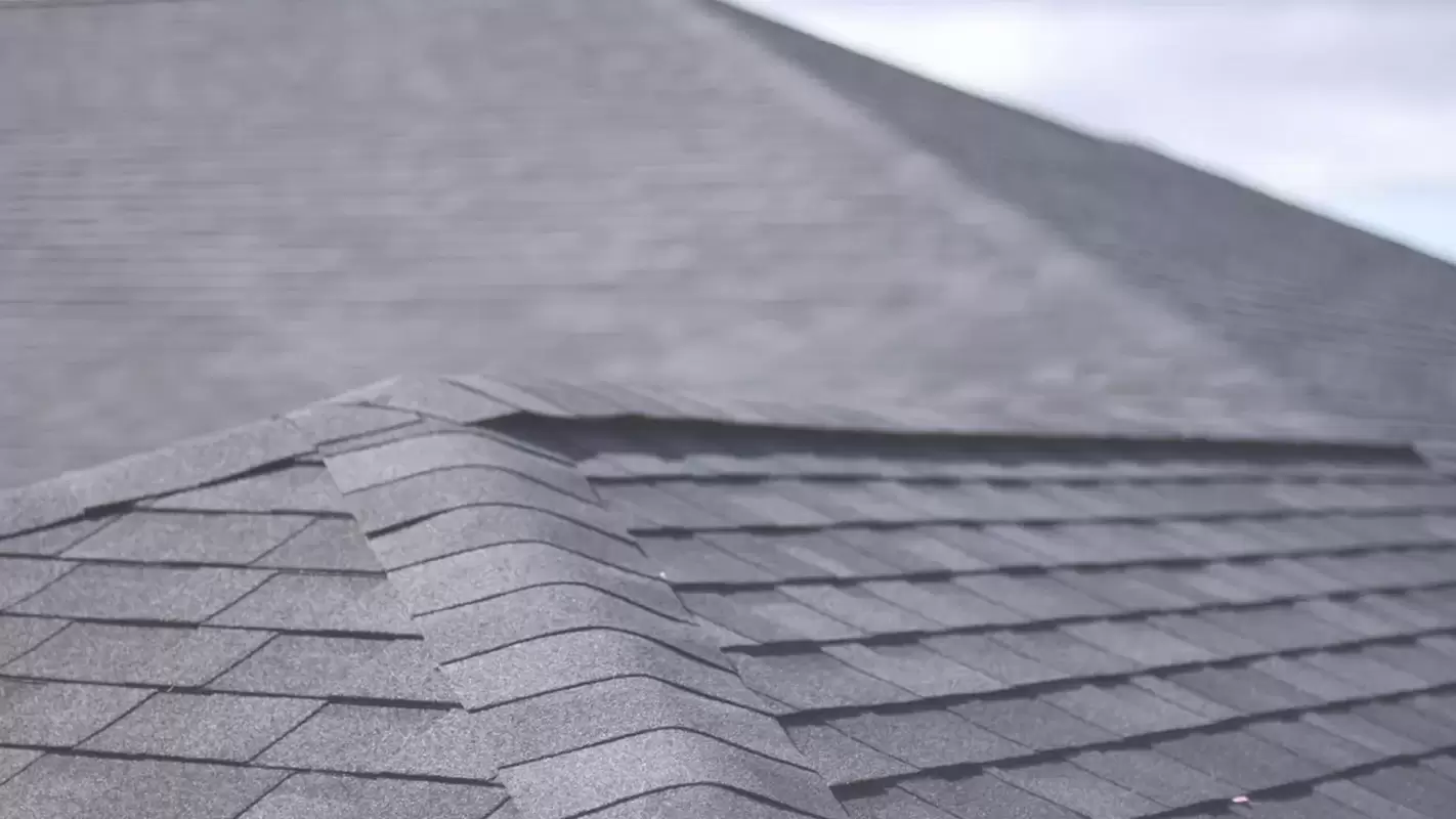 Your Reliable Roofing Partners for Asphalt Roof Installation!