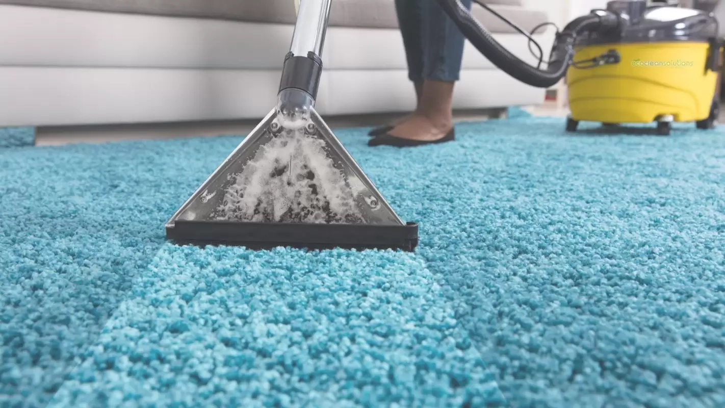 Top-Quality, Professional Carpet Cleaning Services at Affordable Pricing