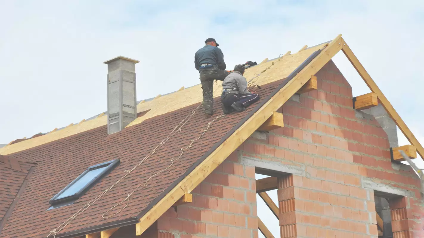 Roofing Services to Tackle Any Roofy Mess!