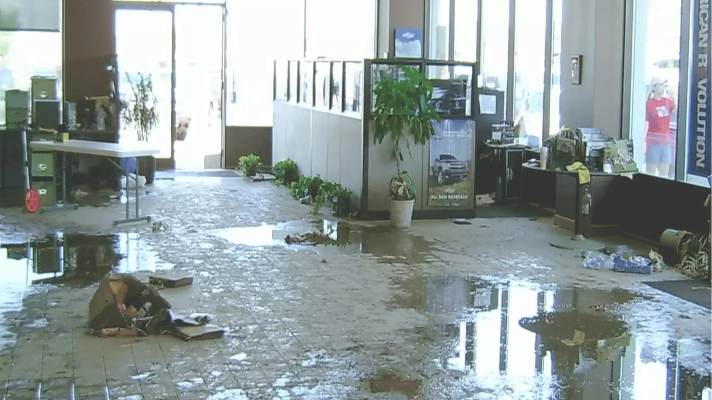To Protect Your Office Interior- Commercial Water Damage Services!