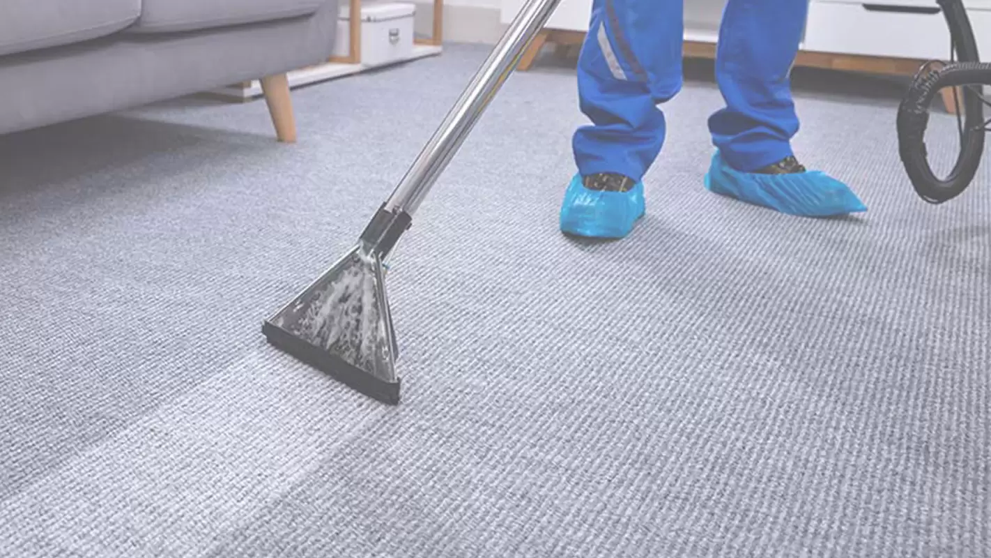 Understand the Carpet cleaning cost for effective services