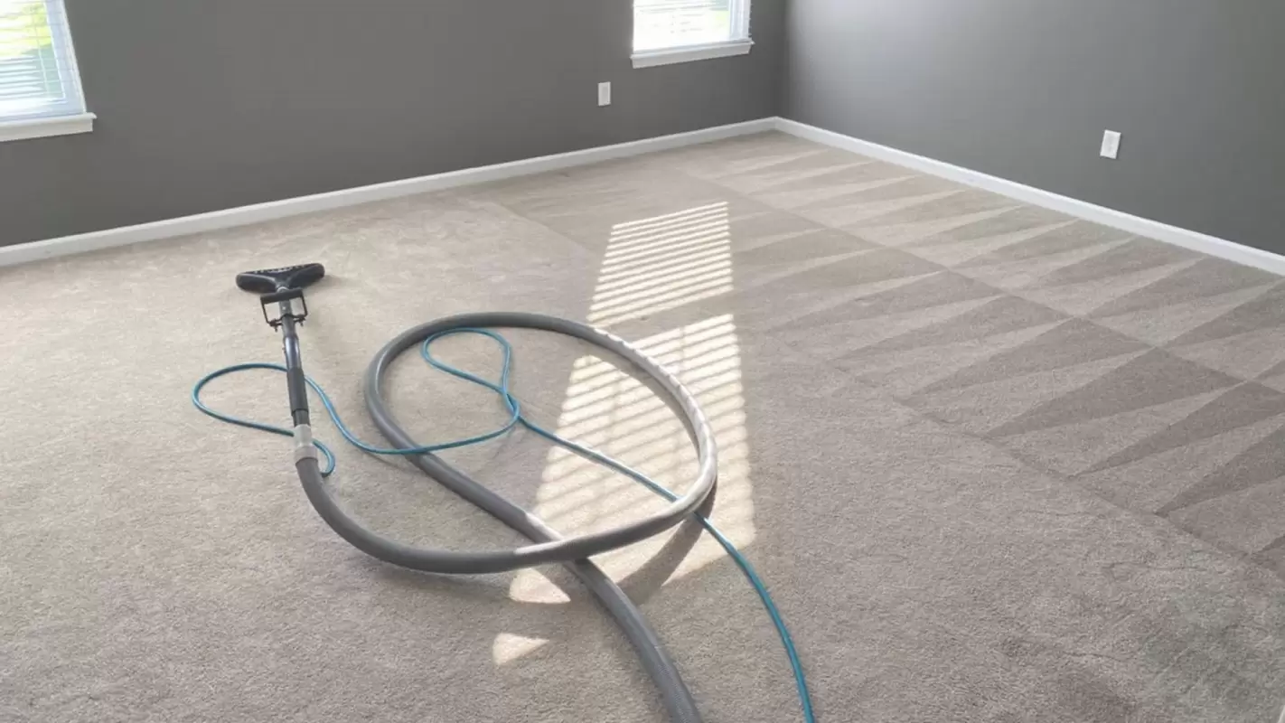 Need clean carpets? Hire Our Expert Carpet Cleaners