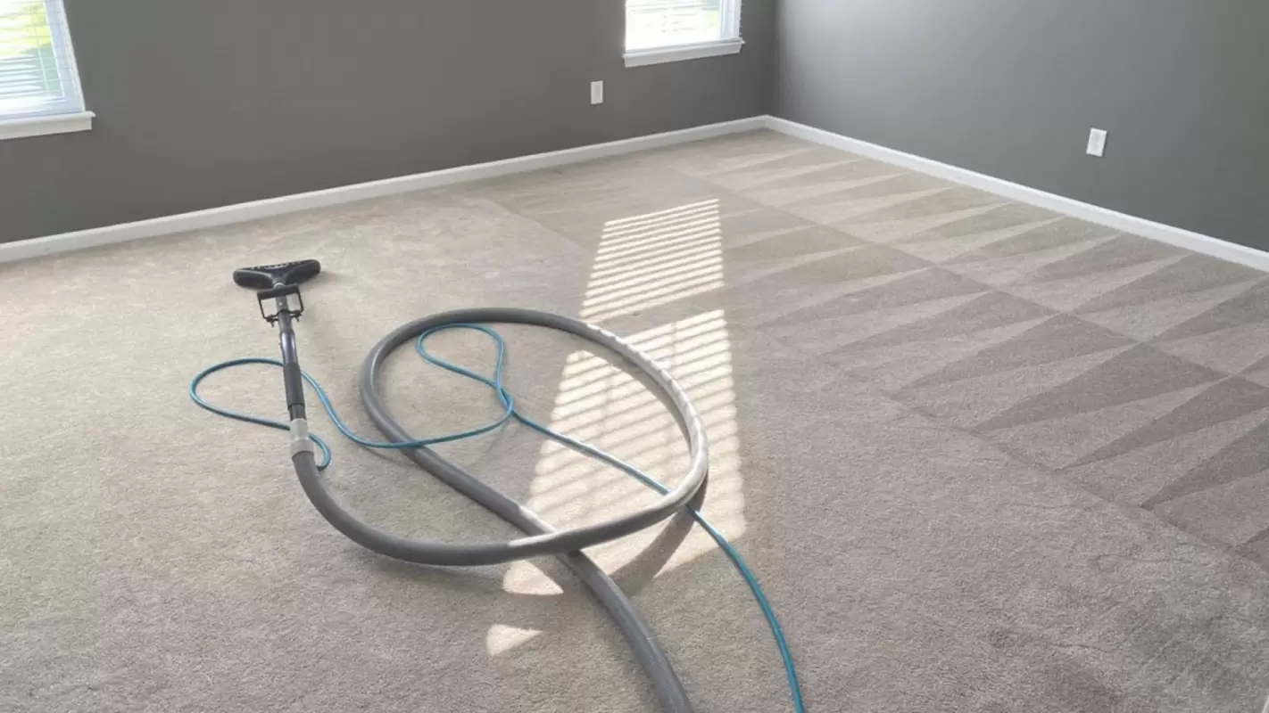 Get Superior Results With Our Team Of Expert Carpet Cleaners