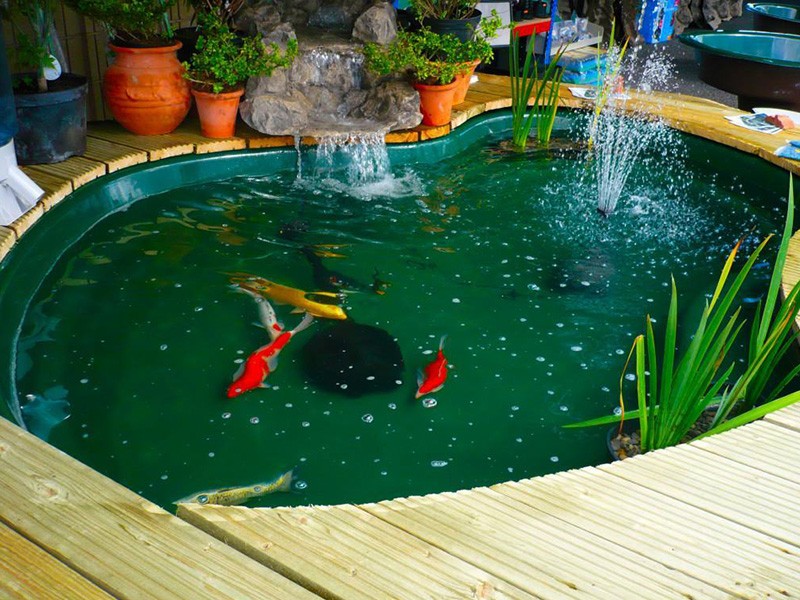 Best Pond Construction and Repair Company of Tempe AZ