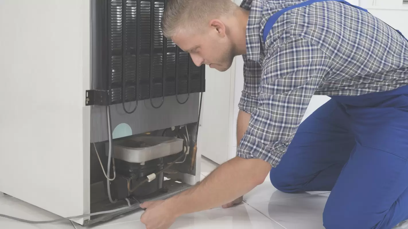 We Are The Most Professional Among Local Appliance Repair Companies.